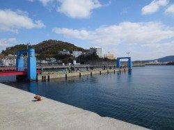 田ノ浦でもイワシが回遊！【３日】ＲＴ