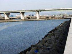 大津川尻でハネ快釣♪泉大津RT!夕方