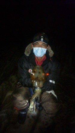 串本の地磯でヤエン釣り、アオリの釣果