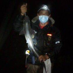 串本の地磯でヤエン釣り、アオリの釣果