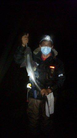 串本の地磯でヤエン釣り、アオリの釣果