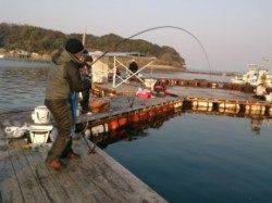 モンスターシマアジゲット