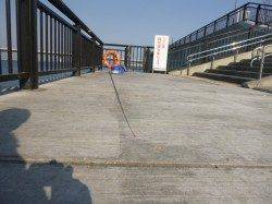 神戸空港キワキワサビキ