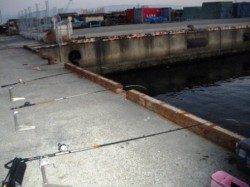 倉庫前でズボ釣り♪