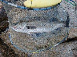 【芦屋年金クラブ】いよいよ始動！！