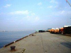 今朝もシブメ・・・　泉大津RT　8日あさ