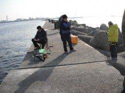 和田防でチヌ５匹！！