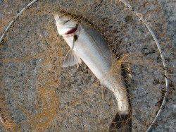 【ＨＯＴタイム突入】南芦屋浜リアルタイム