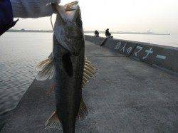 【ポカポカ陽気】西宮ケーソンＲＴ（９日）