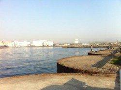 アブシン (゜∀゜)つキターin泉佐野