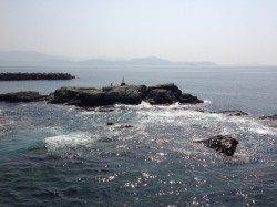 田ノ浦　コウイカエギング