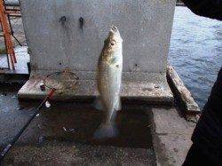 悪天候の中！泉大津RT　１０日　夕方