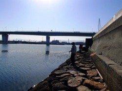 厳しいながらも。泉大津RT。朝