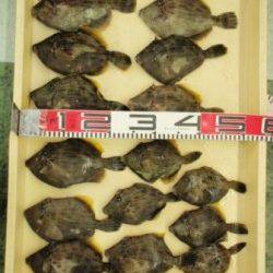 串本大島で投げカワハギ!!