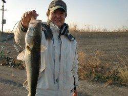 【ハネ・チヌ釣れてます】南芦屋浜リアルタイム