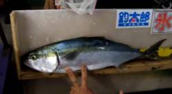 田辺の芳養堤防でフカセ釣り、釣れたのは67…