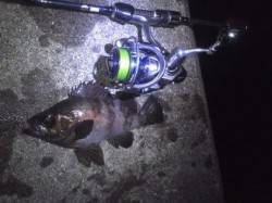 【潮の流れも考えながら...】舞洲でメバル…