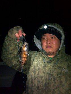 渋い状況の中、メバル17cmを釣り上げました！