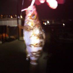 仕事終わりにメバリング in 舞子