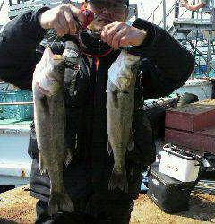 沖一文字北でのウキ釣り、ハネの釣果