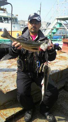 岸和田ハネ好調！今日は沖一文字北や旧の白灯…