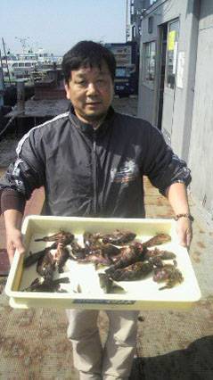 岸和田一文字 シラサ使用でガシラ20匹