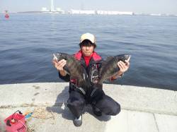 大阪南港 フカセでチヌ41㎝＆43㎝☆