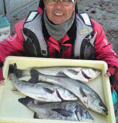 旧一文字白灯、ウキ釣りでハネ・チヌの釣果