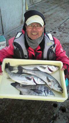 旧一文字白灯、ウキ釣りでハネ・チヌの釣果