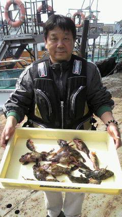 岸和田一文字 シラサ使用でガシラ14～19…