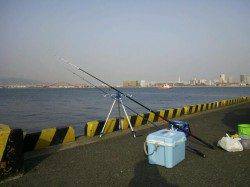 兵庫突堤、胴突とちょい投げの釣果、良型アナゴも♪