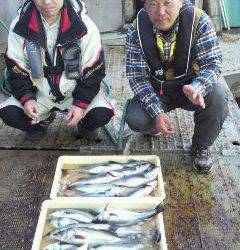 沖一文字北エビ撒き釣果、ハネ 24匹 と大漁です！