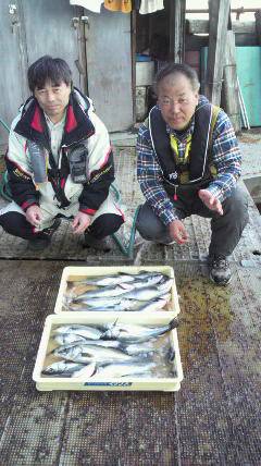 沖一文字北エビ撒き釣果、ハネ 24匹 と大漁です！