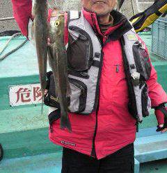 【22日】岸和田、ハネ釣り情報