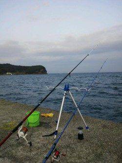 大川漁港付近でちょい投げ、アナゴの釣果