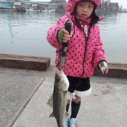 夕方に山田渡船の波止場でエビ撒き釣りの釣果