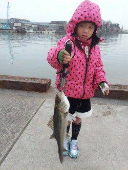 夕方に山田渡船の波止場でエビ撒き釣りの釣果