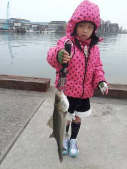 夕方に山田渡船の波止場でエビ撒き釣りの釣果…