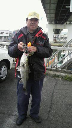 岸和田中波止でのエビ撒き★ハネ50センチ