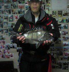 旧一文字でパイプ虫を使ってチヌGET！