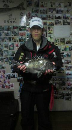 旧一文字でパイプ虫を使ってチヌGET！