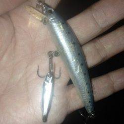 有田川一文字でメバルゲーム、表層〜中層でHIT！