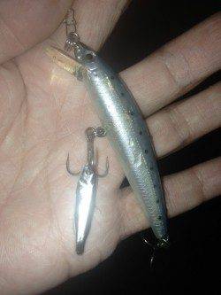 有田川一文字でメバルゲーム、表層〜中層でHIT！