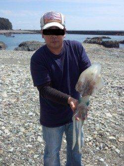 江住漁港レッド系のエギ3.5で2kgアップのアオリイカ♪