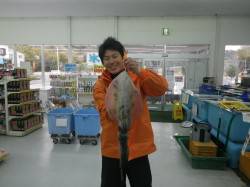 椿地磯でエギング、出ました！2.4kgのア…