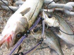 北公園ＲＴ、ハネ３連発！