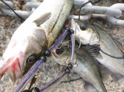 北公園ＲＴ、ハネ３連発！