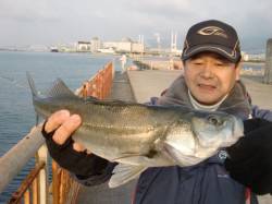 【連日絶好調♪】南芦屋浜リアルタイム 