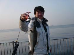 【ＨＯＴタイム突入】南芦屋浜リアルタイム