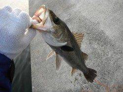 【ポカポカ陽気】西宮ケーソンＲＴ（９日）